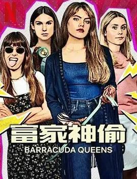 富家神偷第二季(全集)