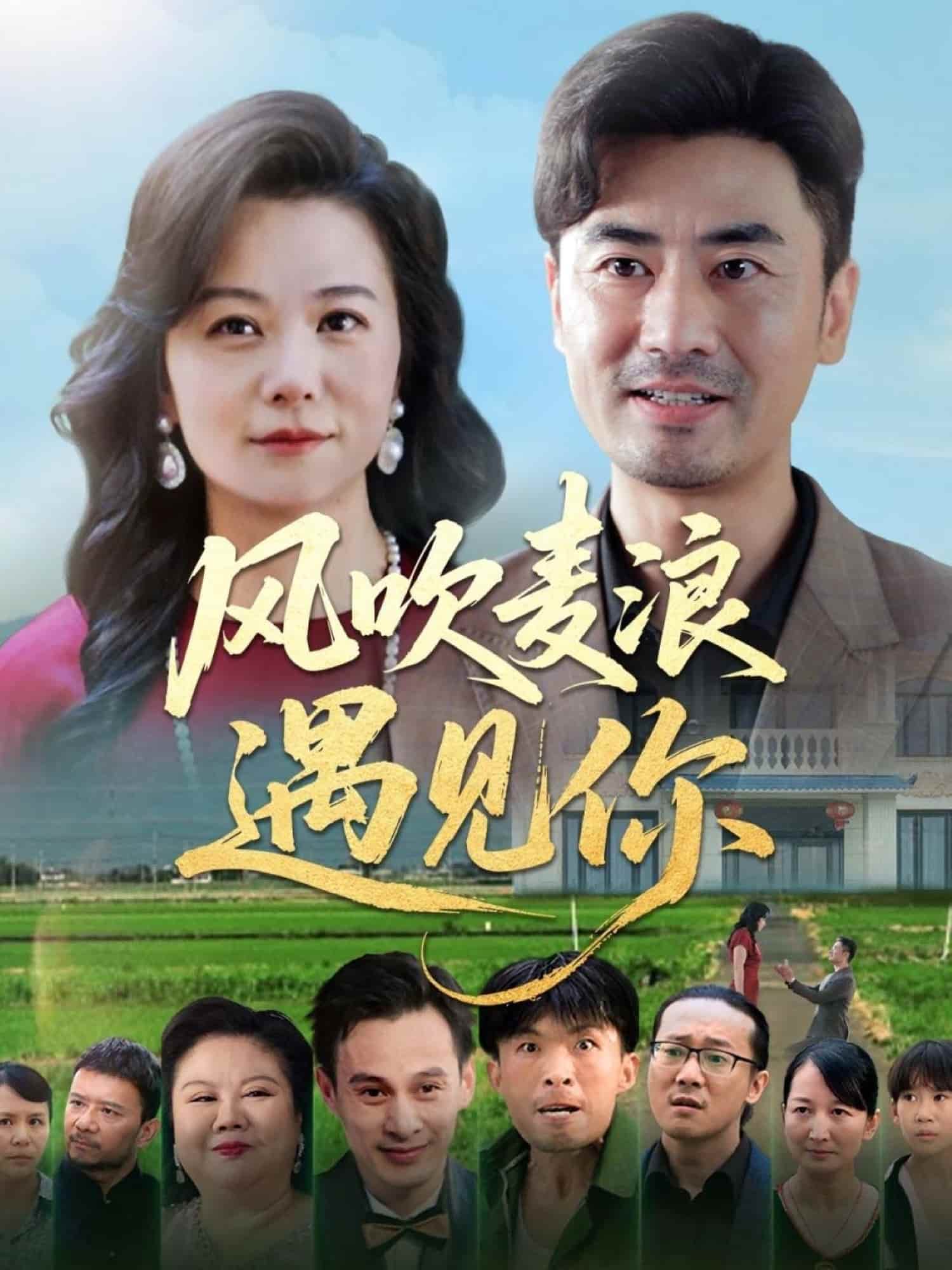 风吹麦浪遇见你(全集)