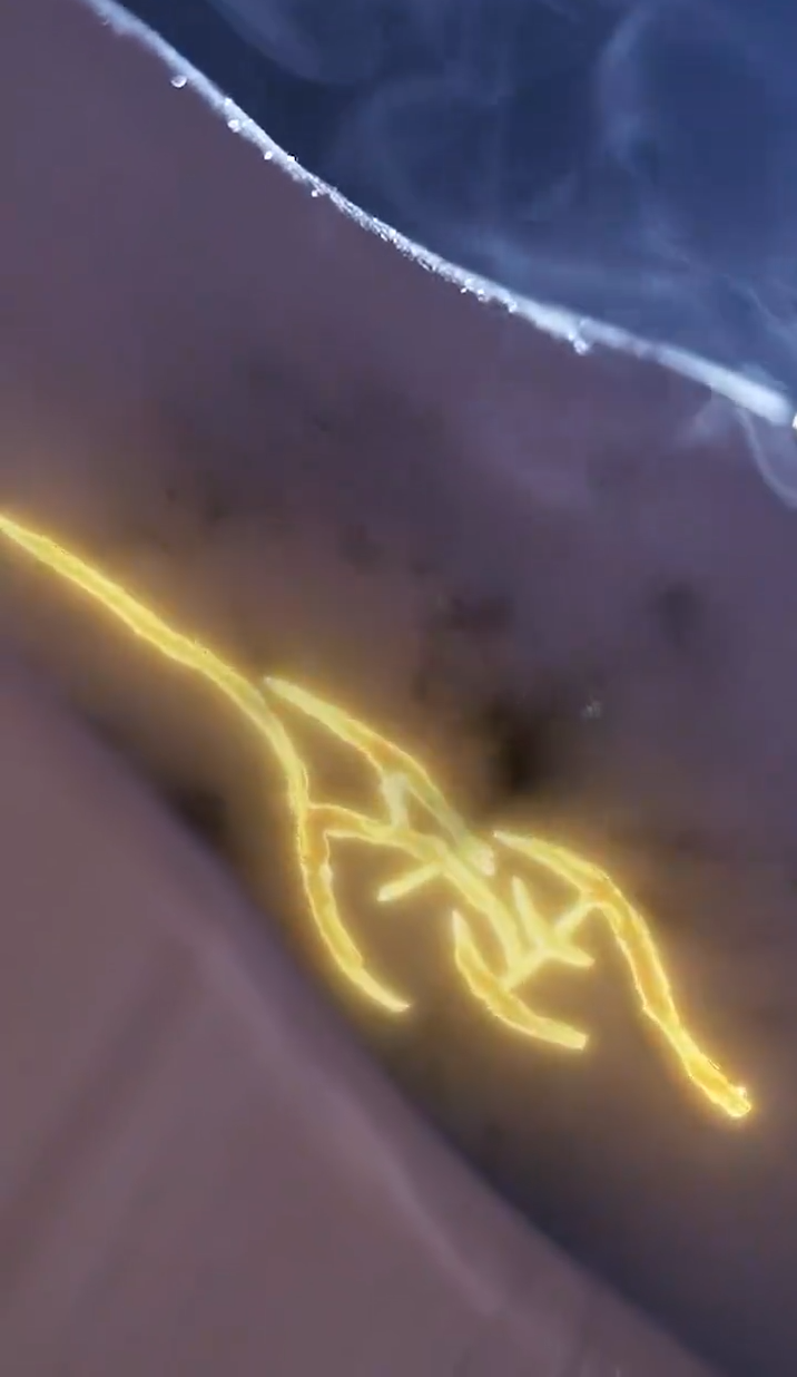 缘来仙妻就是你(全集)