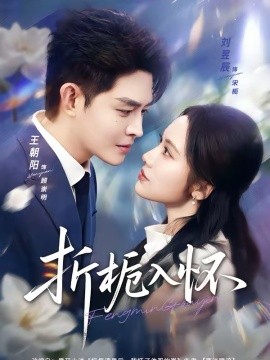 折栀入怀(全集)