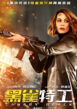 黑雀特工 HD国语